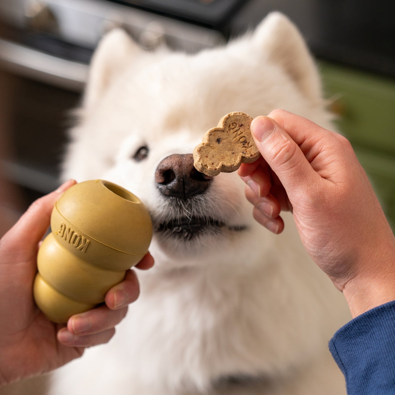 KONG Snacks Birthday Recipe 2 Sizes