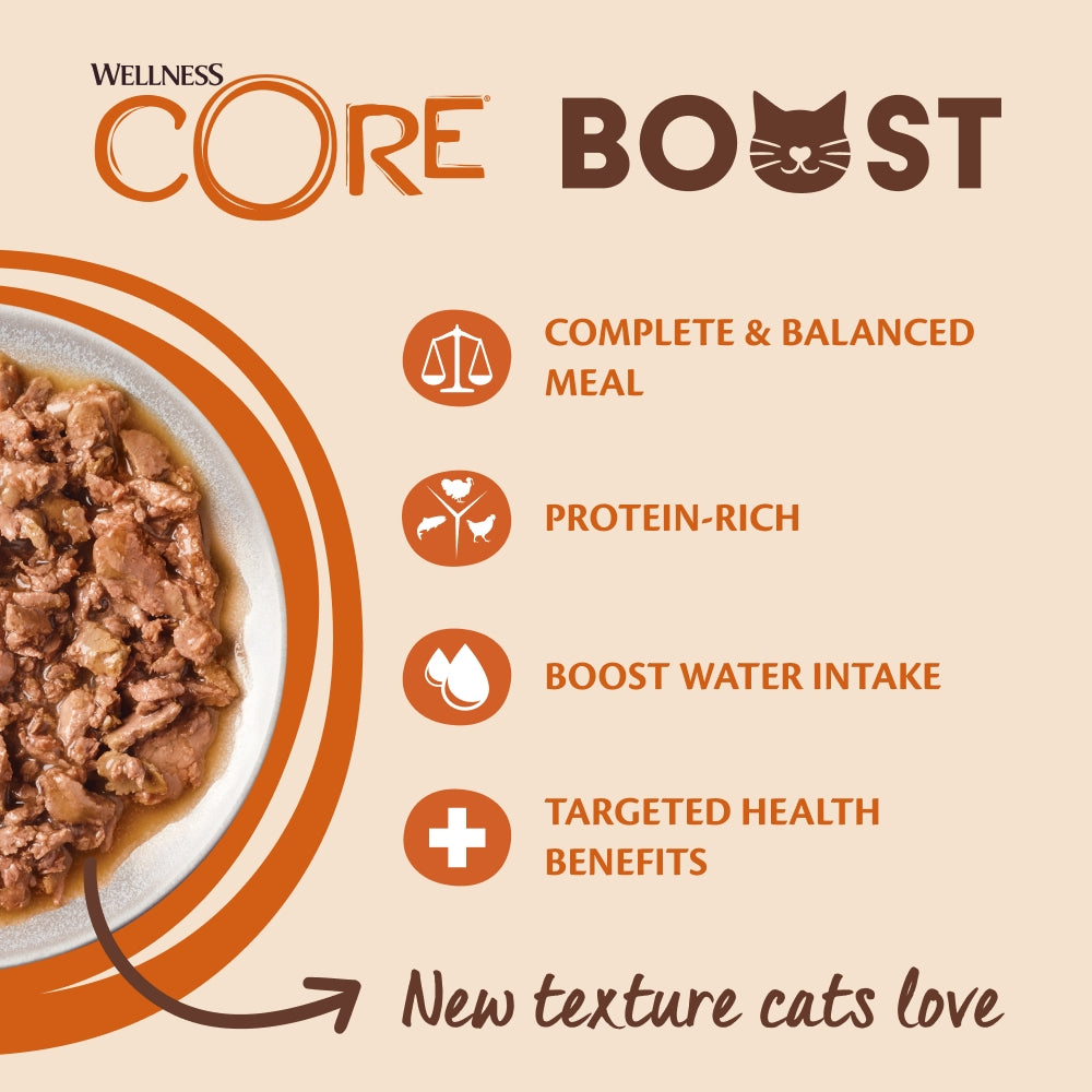 Wellness CORE Cat Boost Digestive Health Turkey 14 x 85g