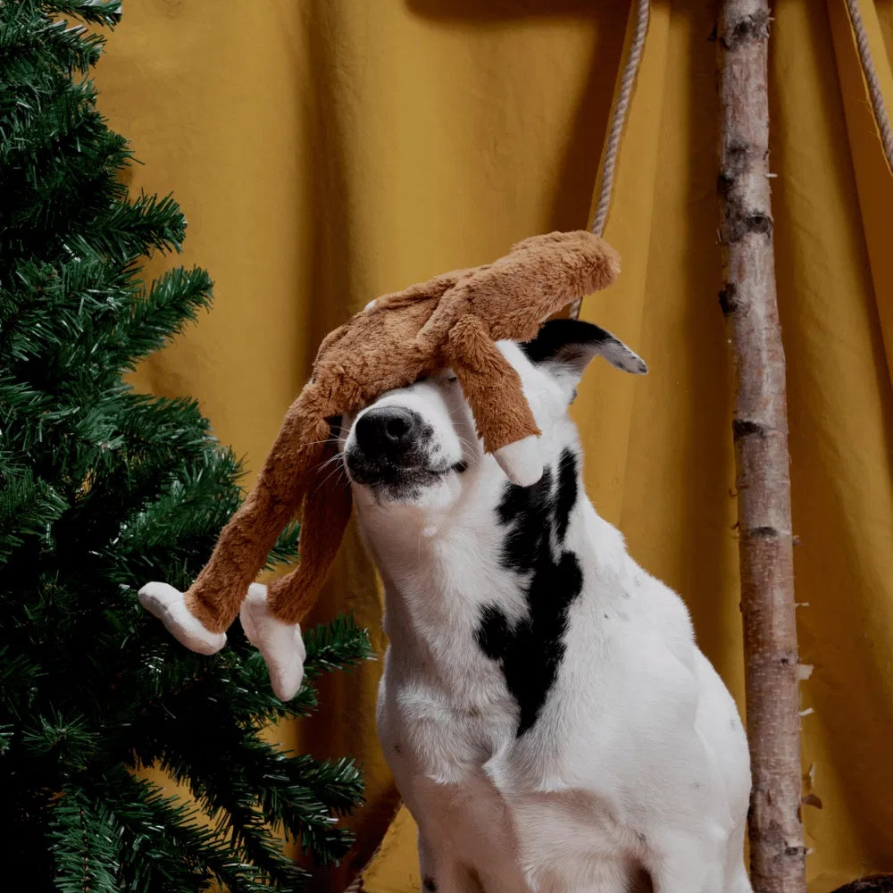 BARK Hairy Henderson Grrreat Outdoors Dog Toy