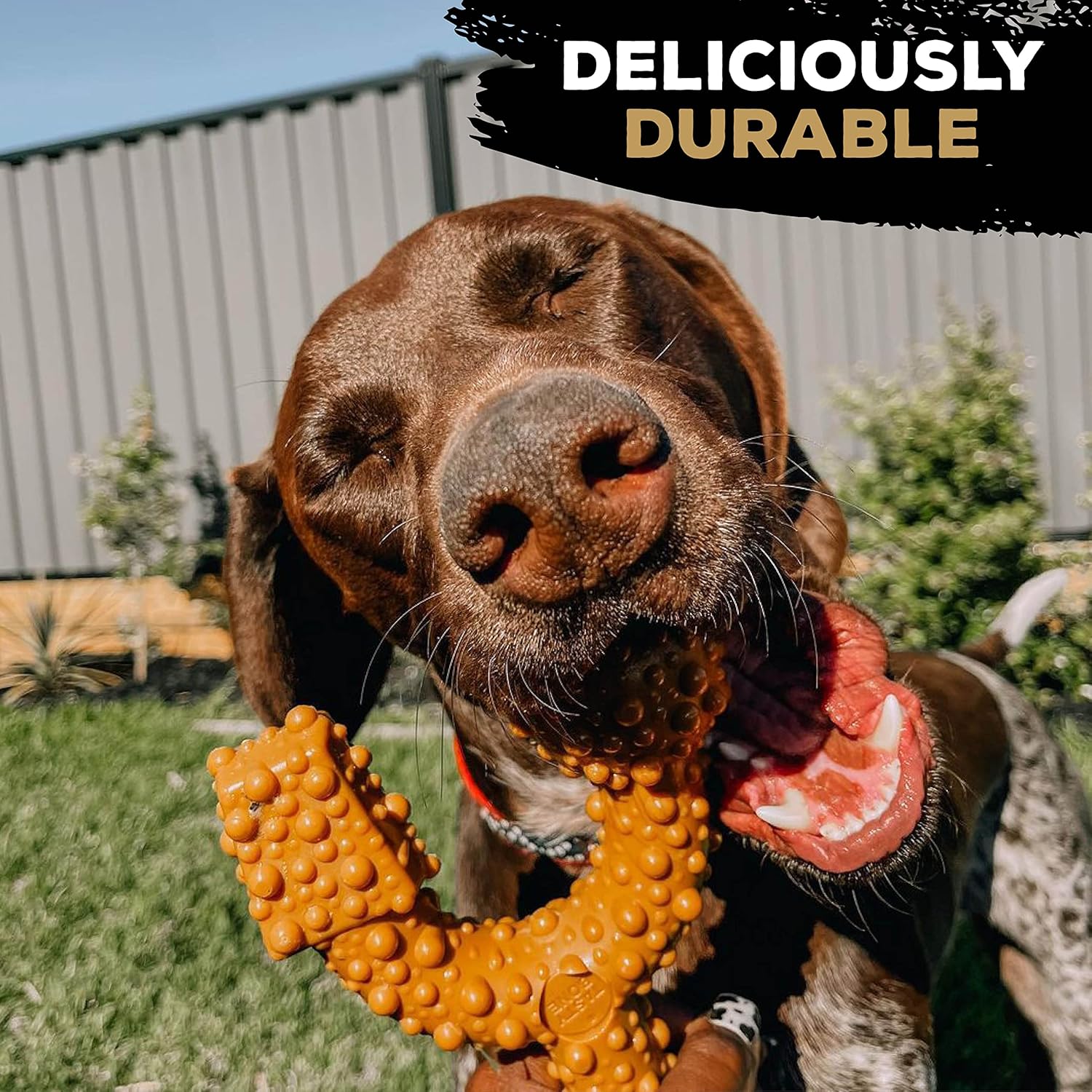 TastyBone TRIO Tough Nylon Dog Chews for Large Dogs 5 Flavours