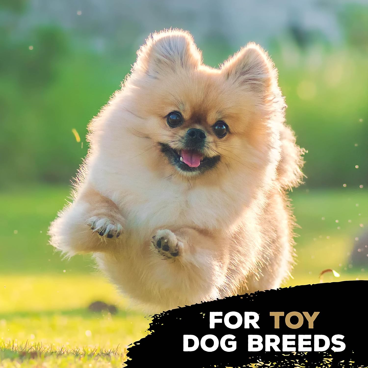 TastyBone TRIO Tough Nylon Dog Chews for Toy Dogs 5 Flavours