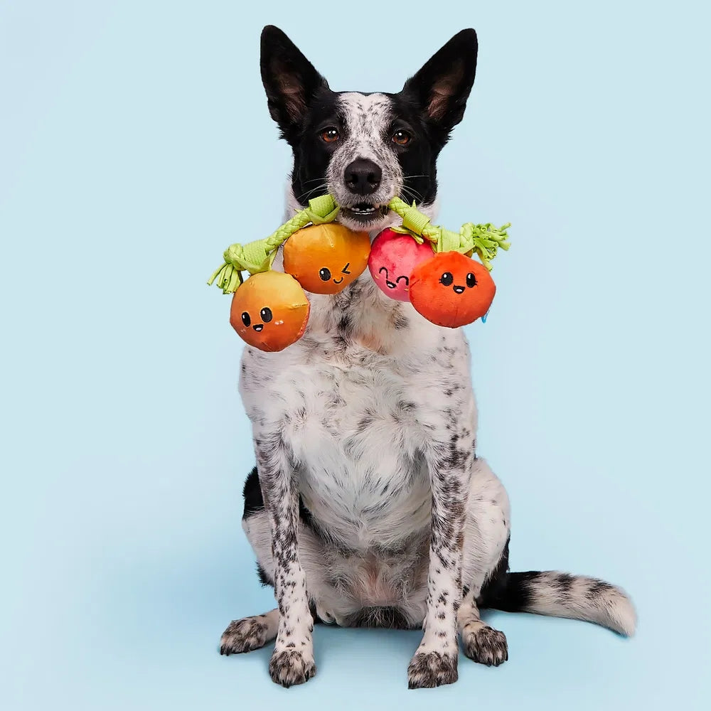 BARK Hairloom Tomatoes Plush Rope Dog Toy