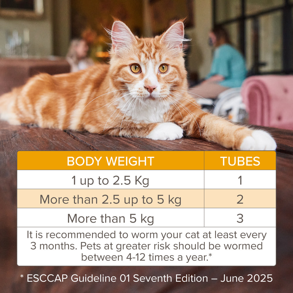 Beaphar WORMclear for Cats Worming Spot-On Solution x 2