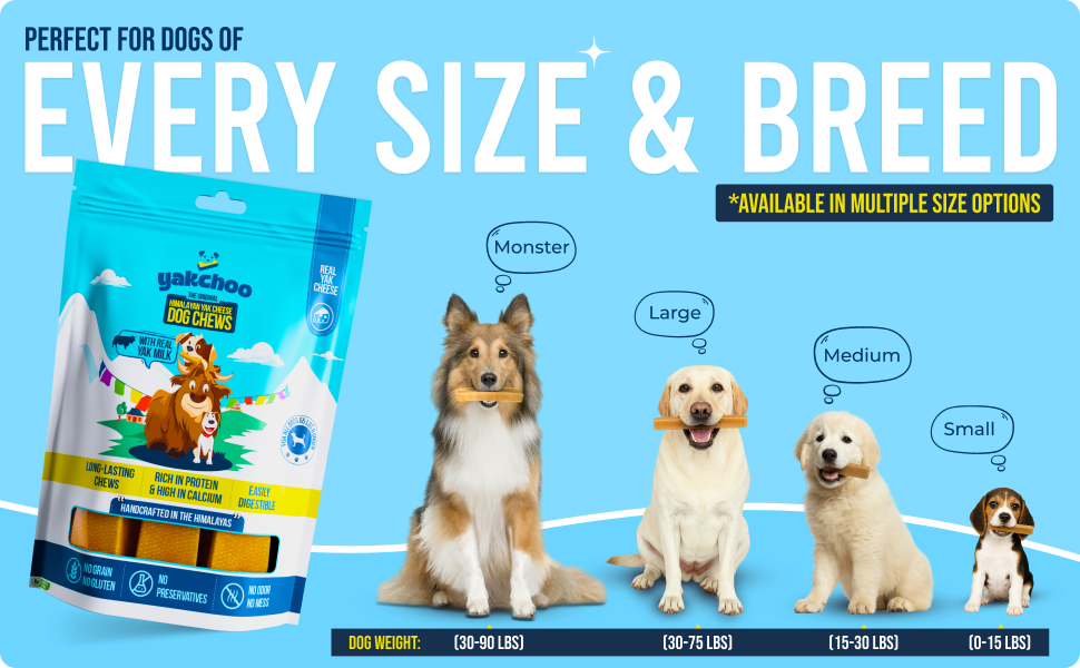 Yakchoo Himalayan Yak Cheese Dog Chews – Medium 70g - 2 or 3 Pack Options