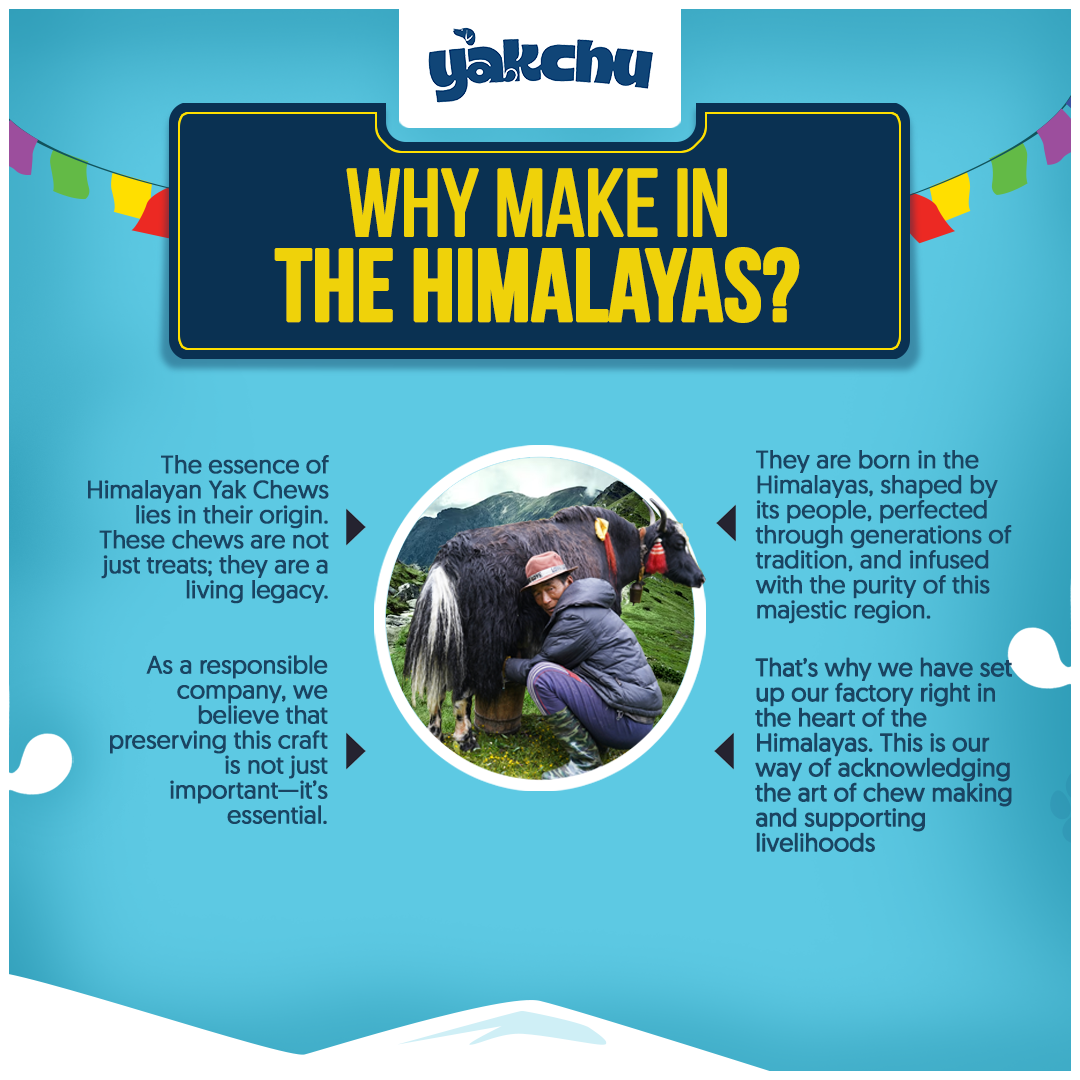 Yakchoo Himalayan Yak Cheese Dog Chews – Medium 70g - 2 or 3 Pack Options