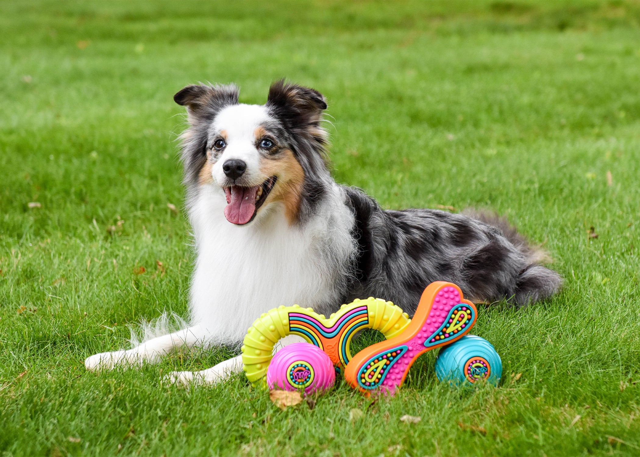 Happy Pet Groovers TPR Rubber Ball Dog Toy
