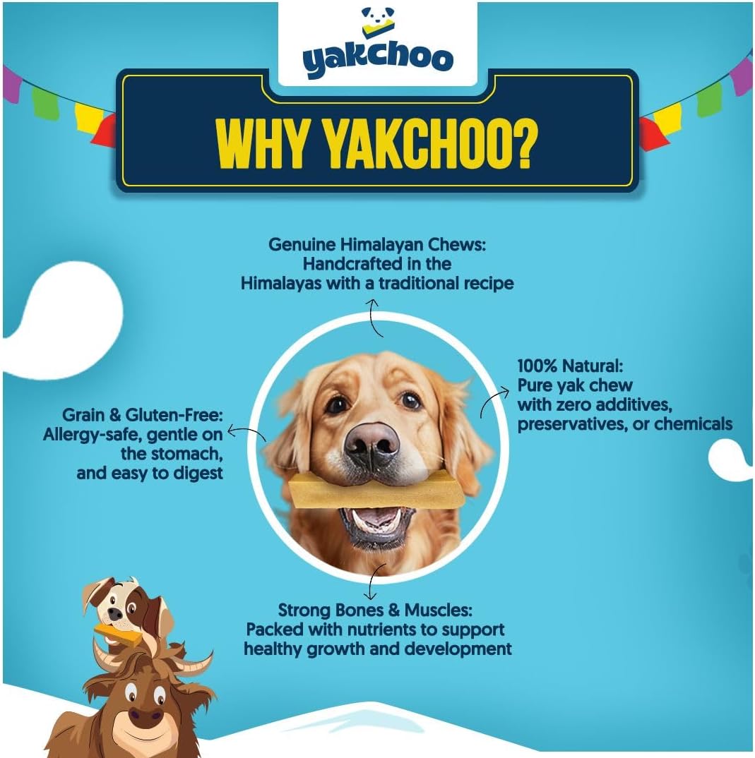 Yakchoo Himalayan Yak Cheese Dog Chews – Medium 70g - Blueberry Coconut & Mango 3 Pack