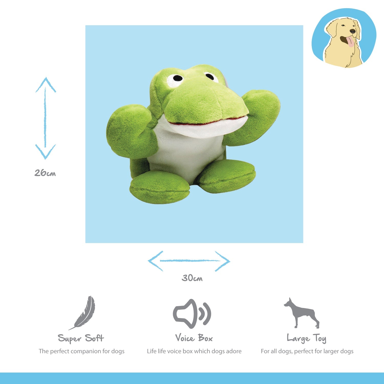Happy Pet Big Buddie Fritz The Frog