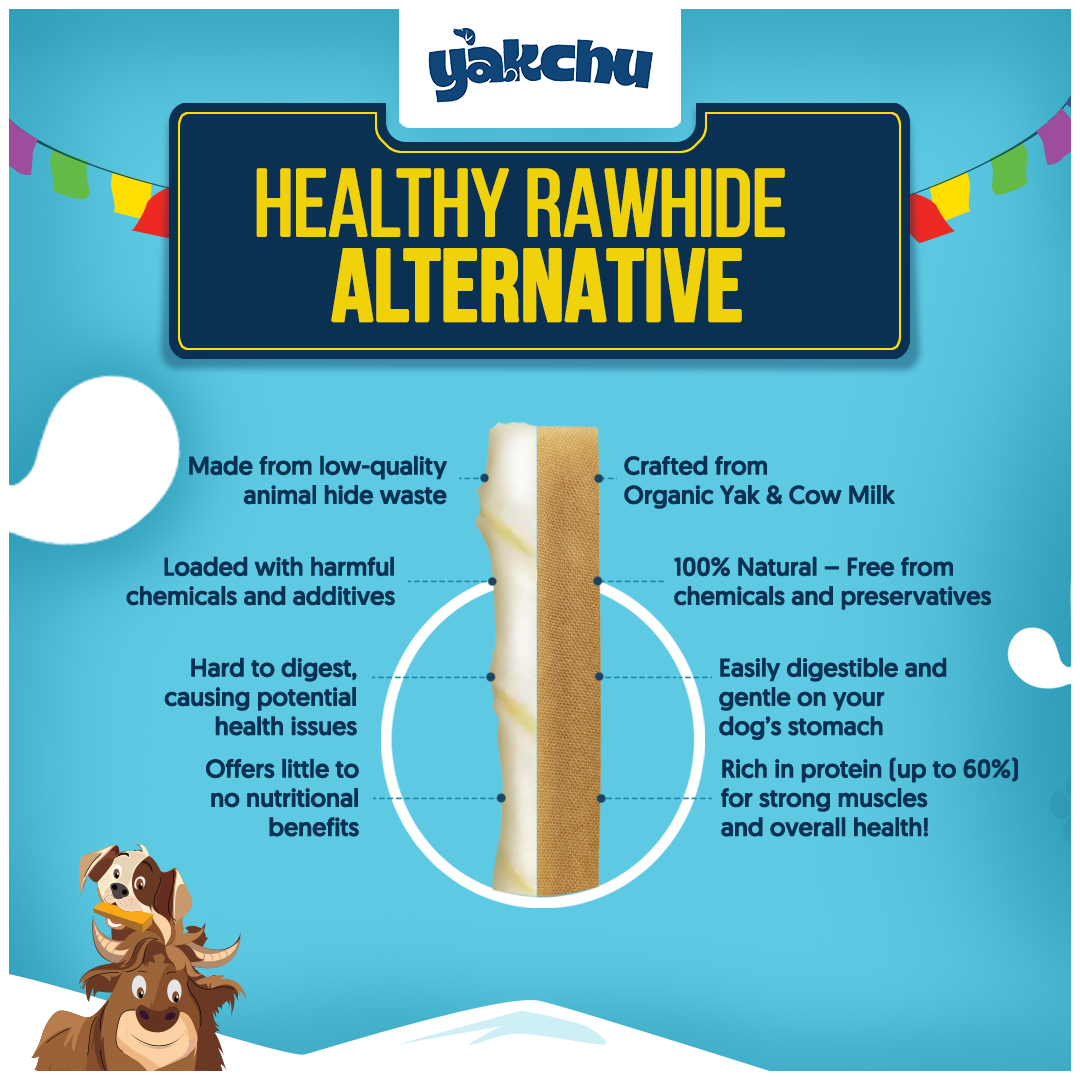 Yakchoo Himalayan Yak Cheese Dog Chews – Medium 70g - 2 or 3 Pack Options