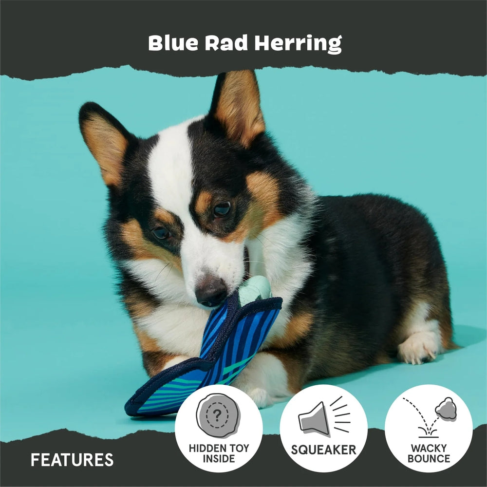 BARK Blue Rad Herring Super Chewer Dog Toy