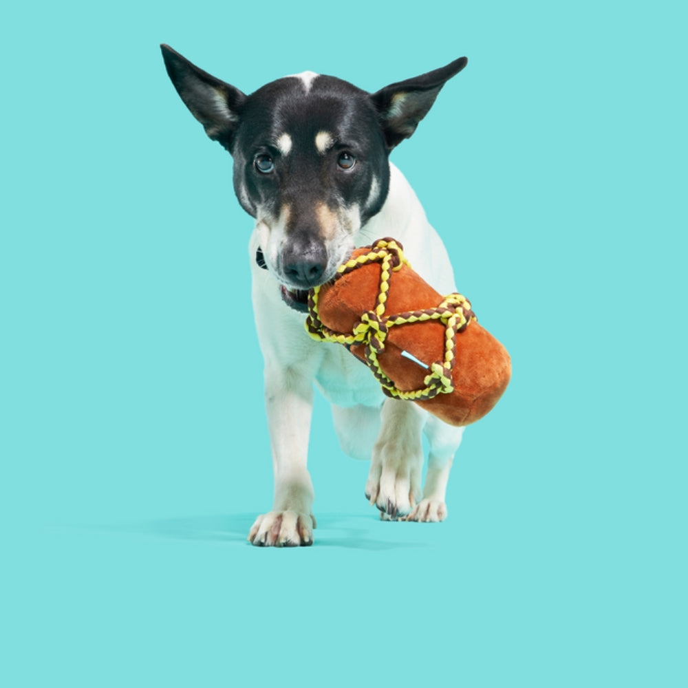 BARK Barkbeard'S Rum Plush Dog Toy