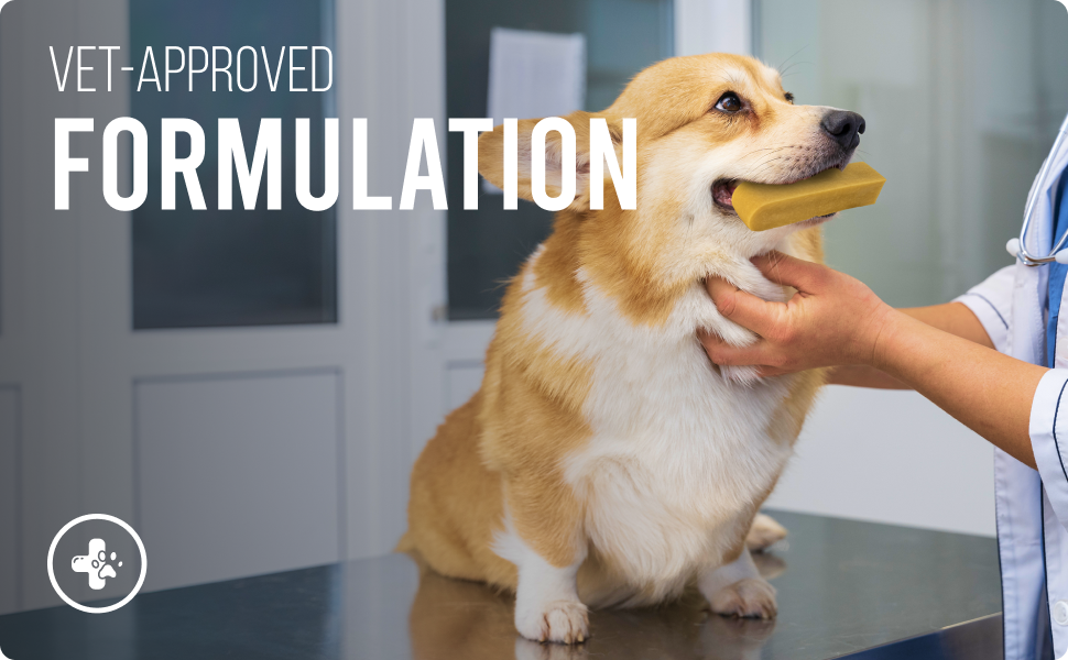 Yakchoo Himalayan Yak Cheese Dog Chews – Medium 70g - 2 or 3 Pack Options