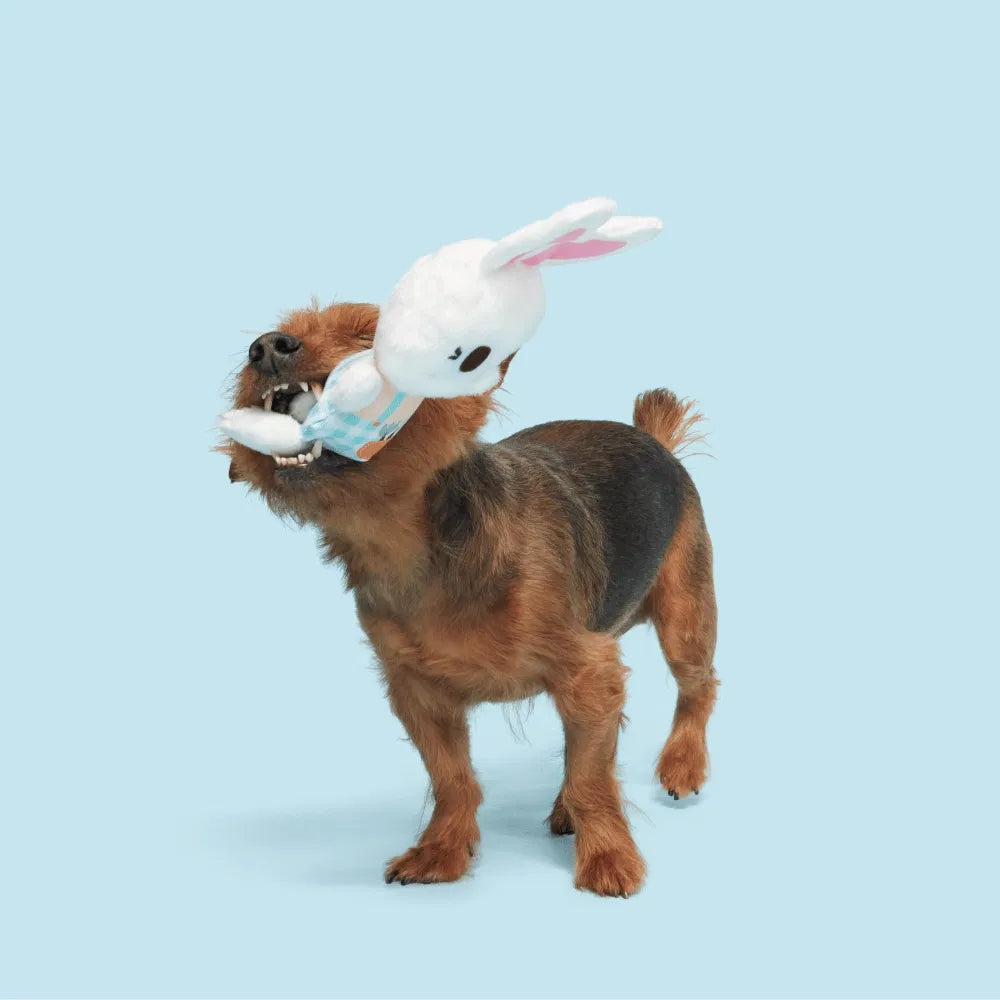 BARK Green Thumb Bun Backyard Garden Dog Toy