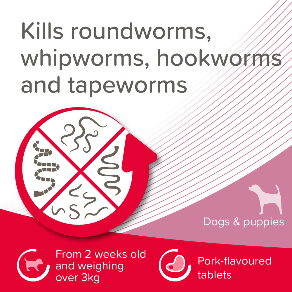 Beaphar WORMclear for Small Dogs up to 20kg Worming Tablets x 2