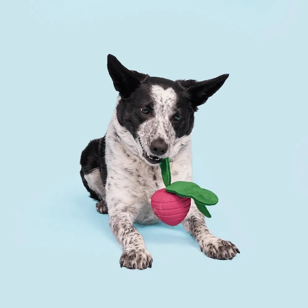 BARK Turnt Up Turnip Backyard Garden Super Chewer Dog Toy