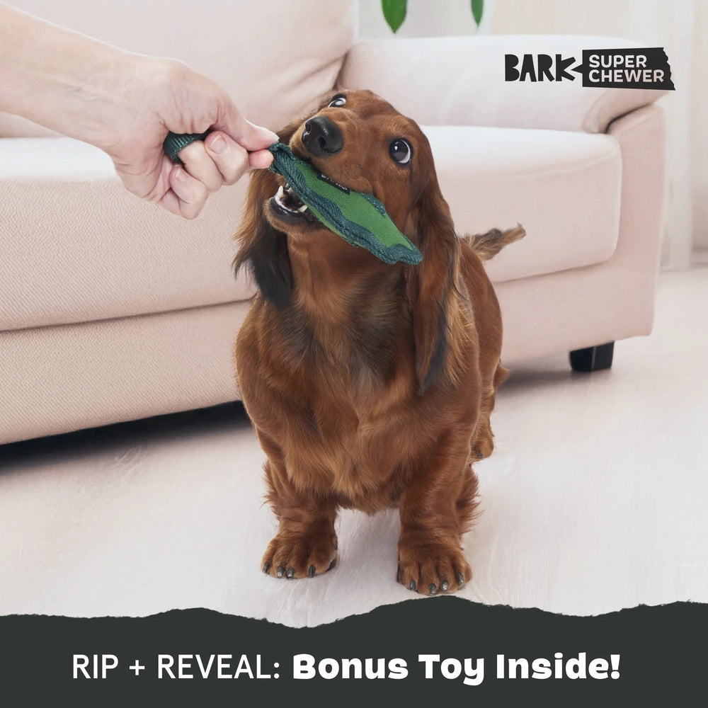 BARK A Green Chew Leaf Super Chewer Dog Toy
