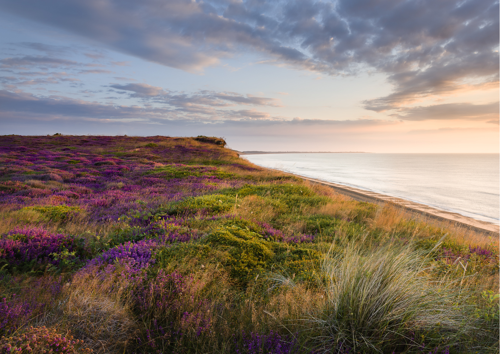 Around our Shores: Dunwich Heath and Beach