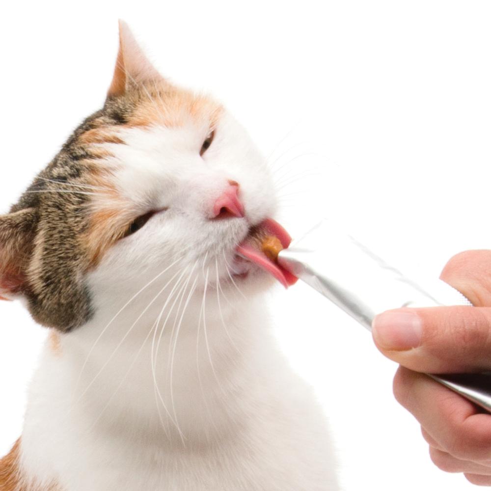 The Best Cat Treats for 2025