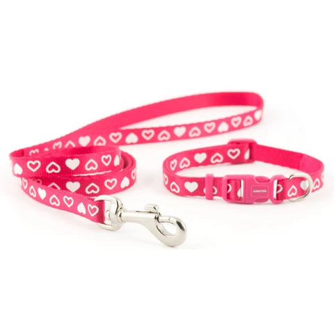 Dog Collar & Lead Set