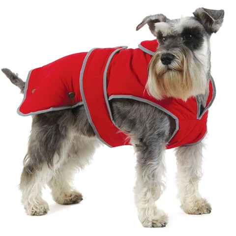 Dog Coats & Clothing