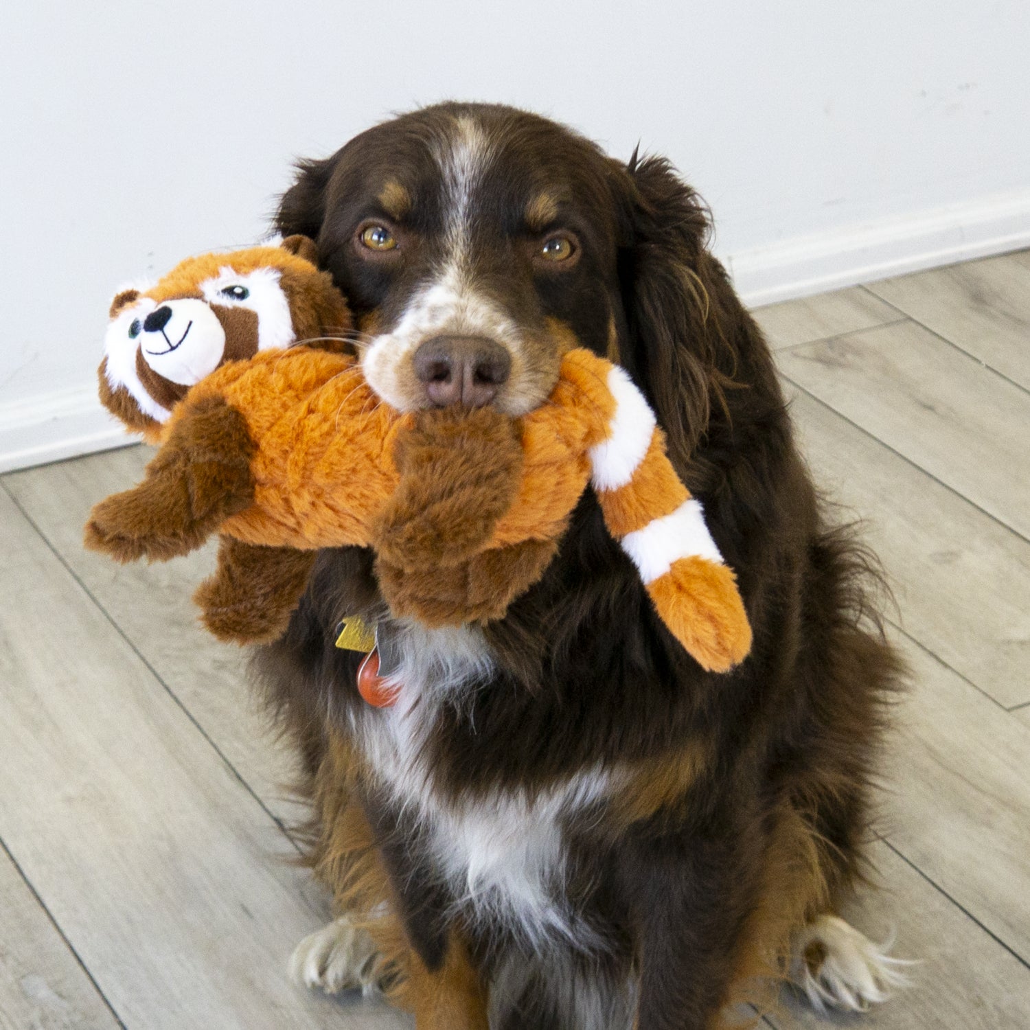 KONG Scampers  Red Panda