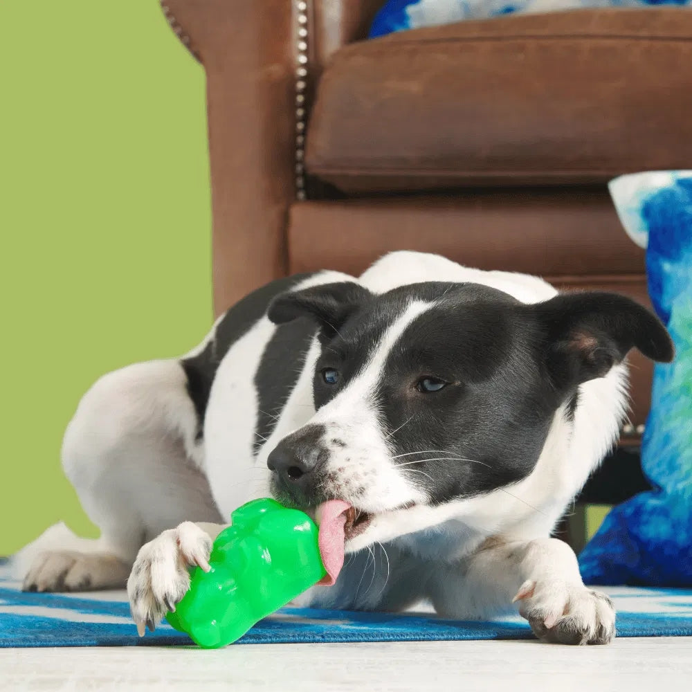 BARK Munchie The Bear Super Chewer Dog Toy