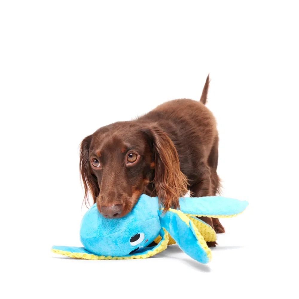 BARK Odd Otto Plush Dog Toy