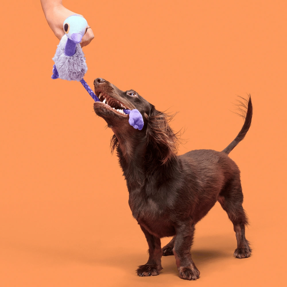 BARK Adelaide Emu Australian Outbark Dog Toy