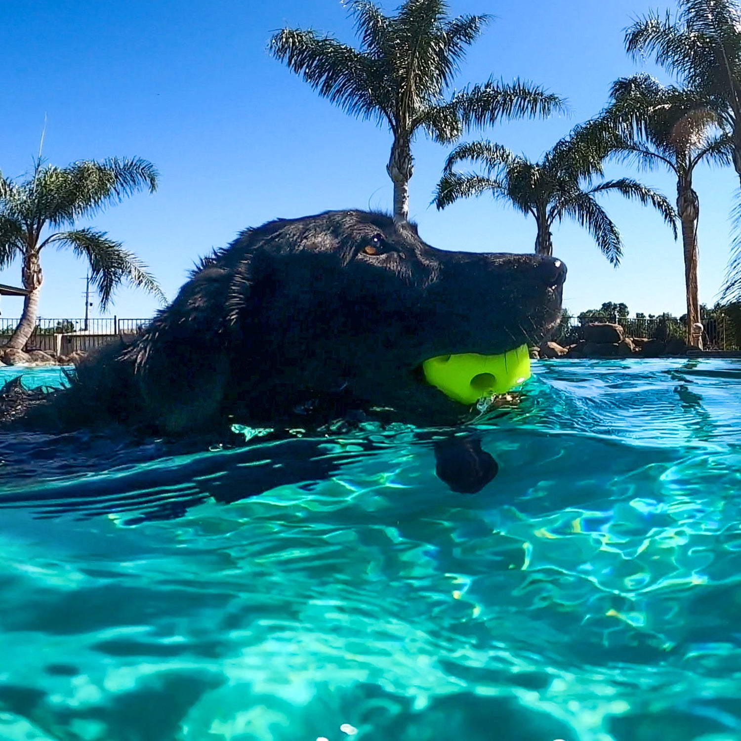 Multipet Breeze Ball Dog Toys – Pack of 3 | Durable, Lightweight Play Balls