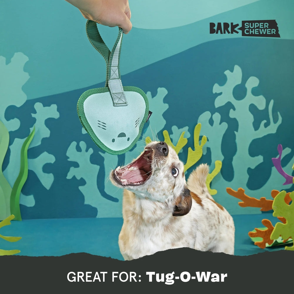 BARK Flingray Super Chewer Dog Toy