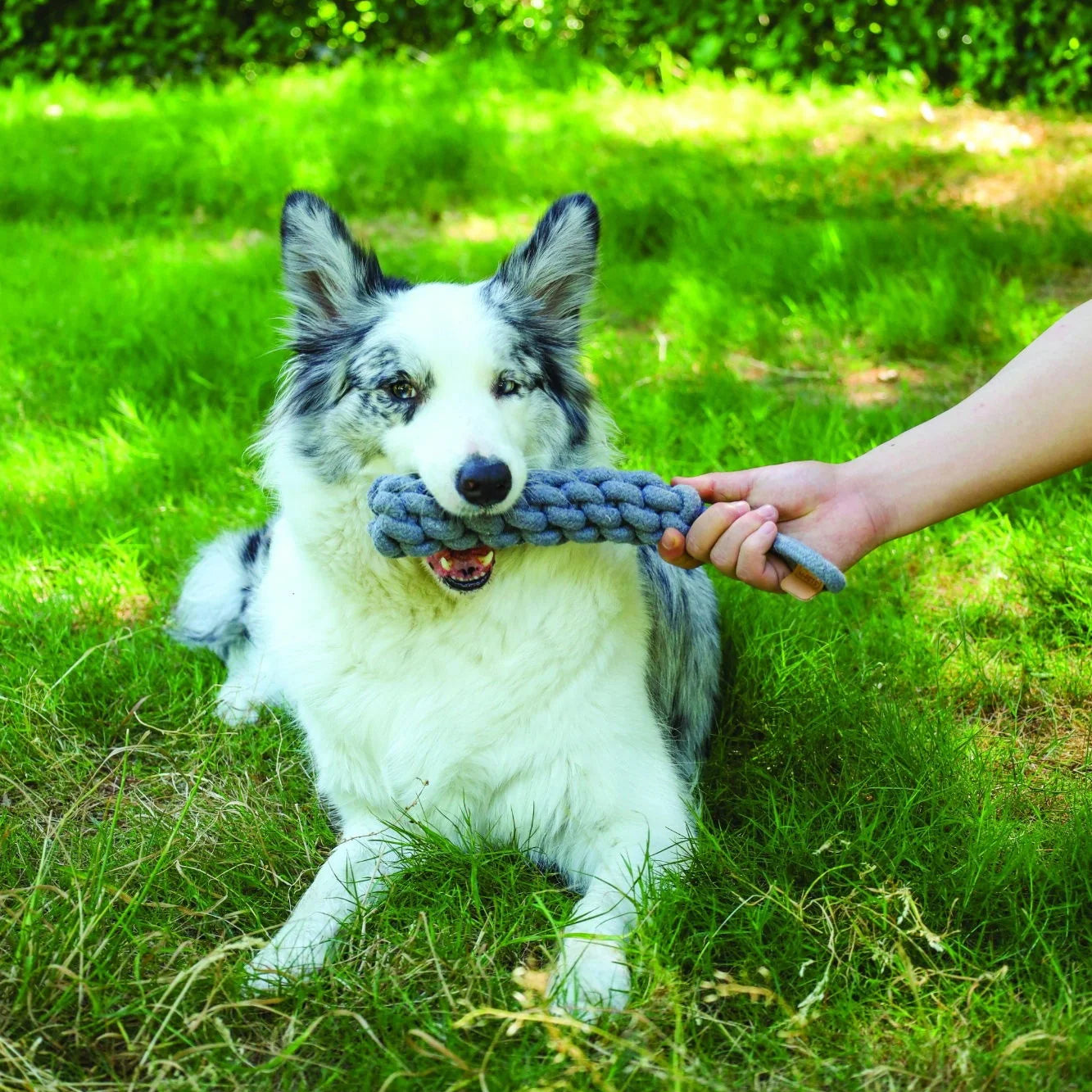 M-PETS Coto Loop Bar Natural Cotton Rope Dog Toy – 34cm