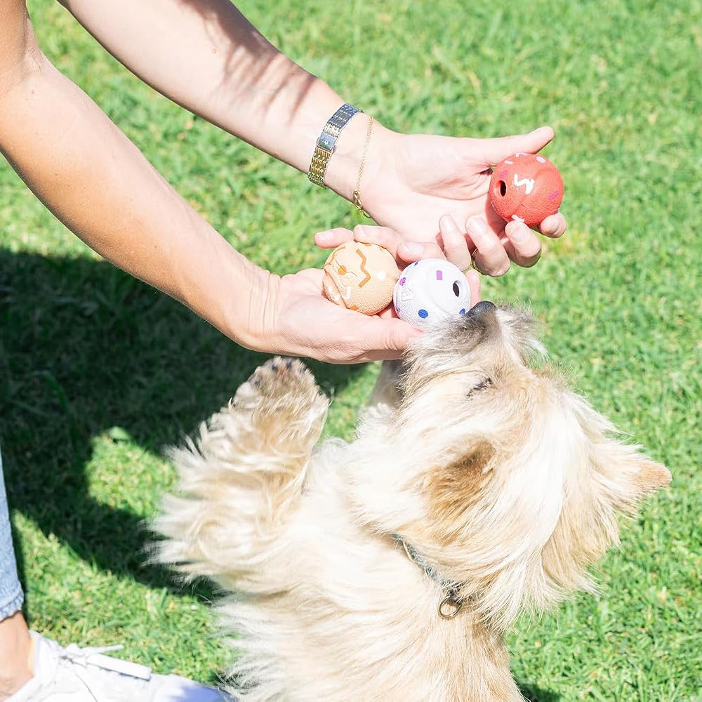 Chuckit! Birthday Ball Medium 3 Pack – High Bounce Fetch Dog Toy