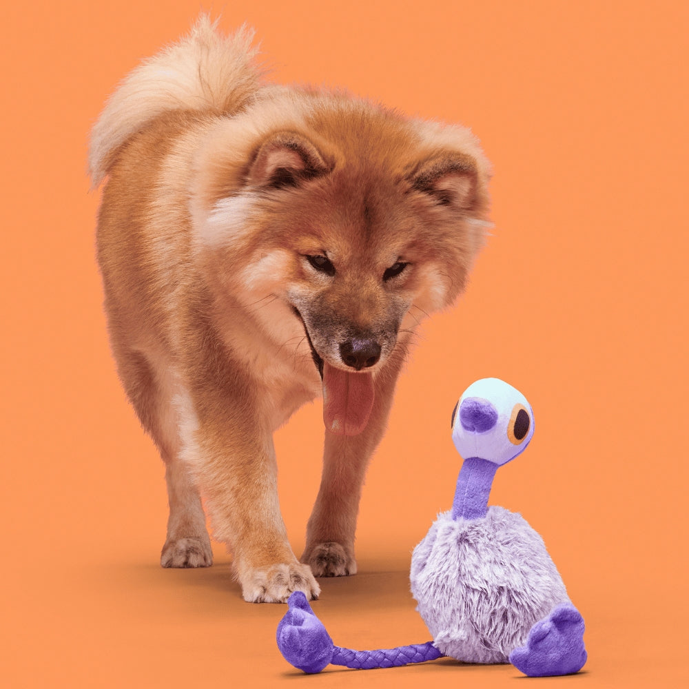 BARK Adelaide Emu Australian Outbark Dog Toy