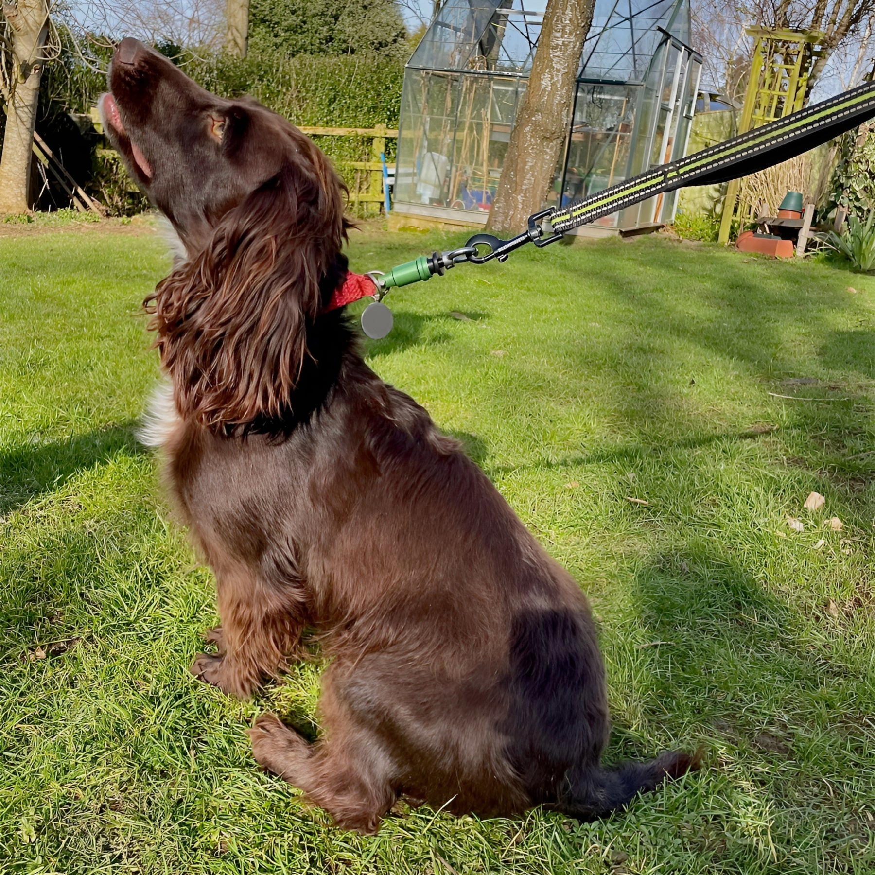 Wolfclip Eye Nut Adapters & Housings 5 Colours 2 Sizes