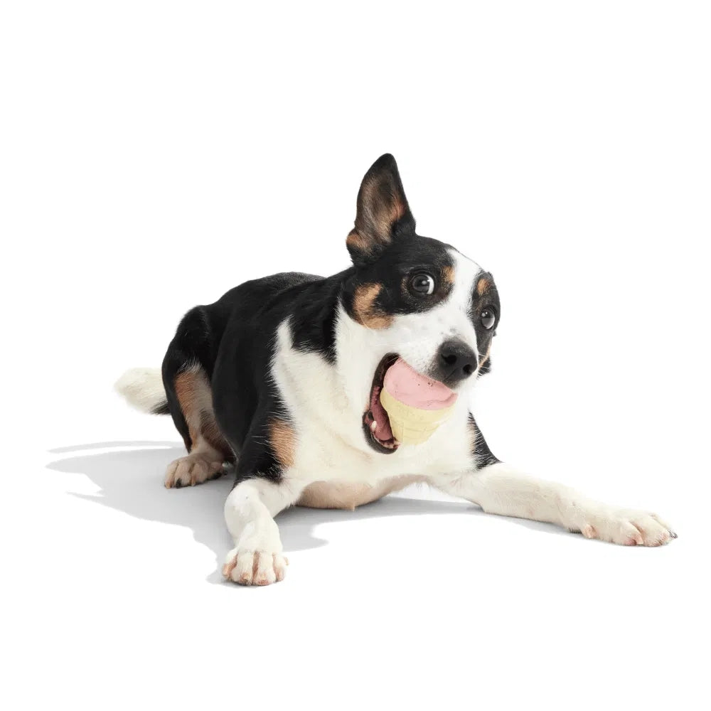 BARK I-Squeak Cone Super Chewer Dog Toy