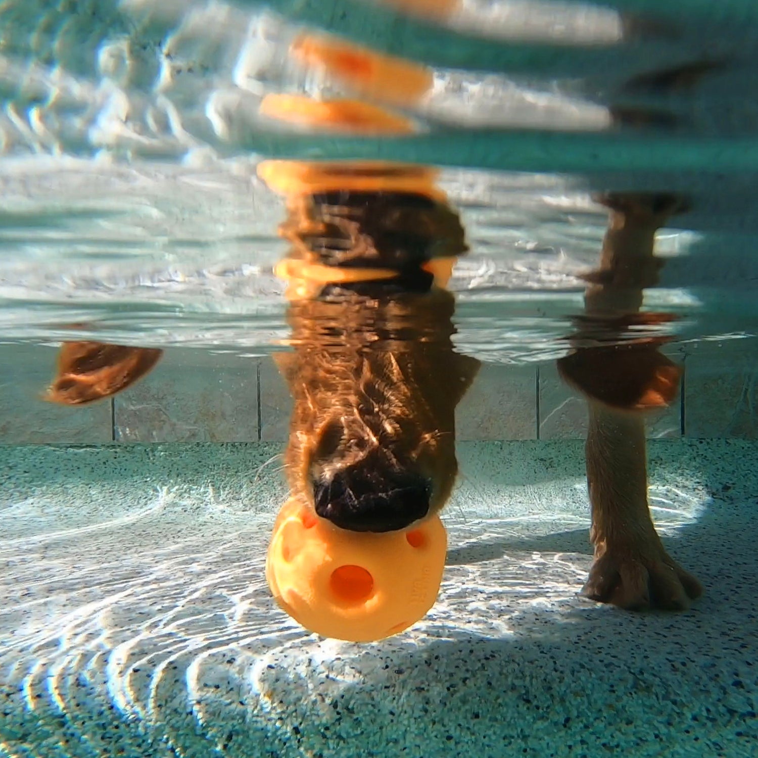 Multipet Breeze Ball Dog Toys – Pack of 3 | Durable, Lightweight Play Balls