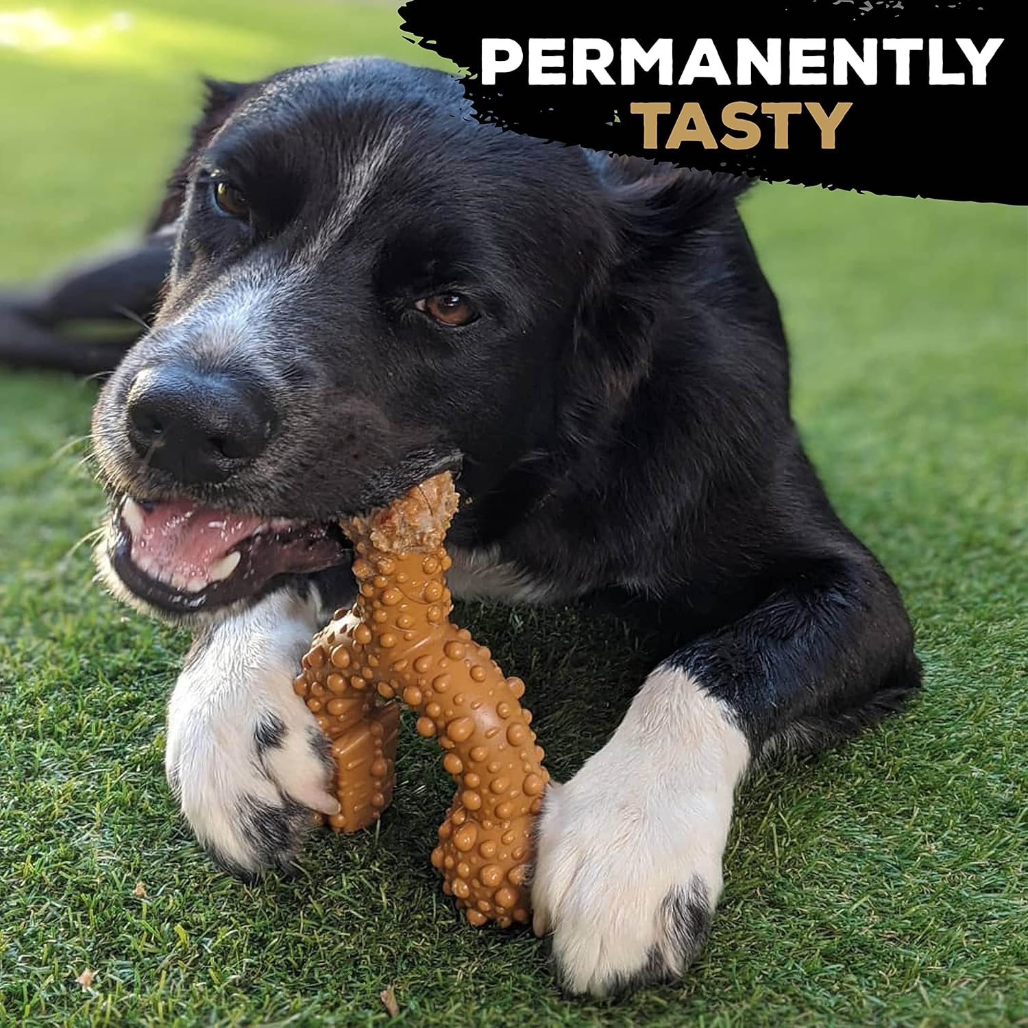 TastyBone TRIO Tough Nylon Dog Chews for Small Dogs 5 Flavours