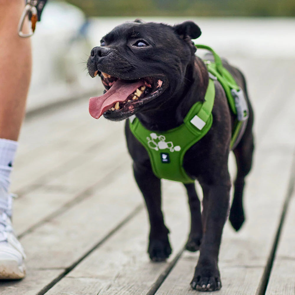 Hurtta Weekend Warrior II ECO Dog Harness Eggplant 5 Sizes