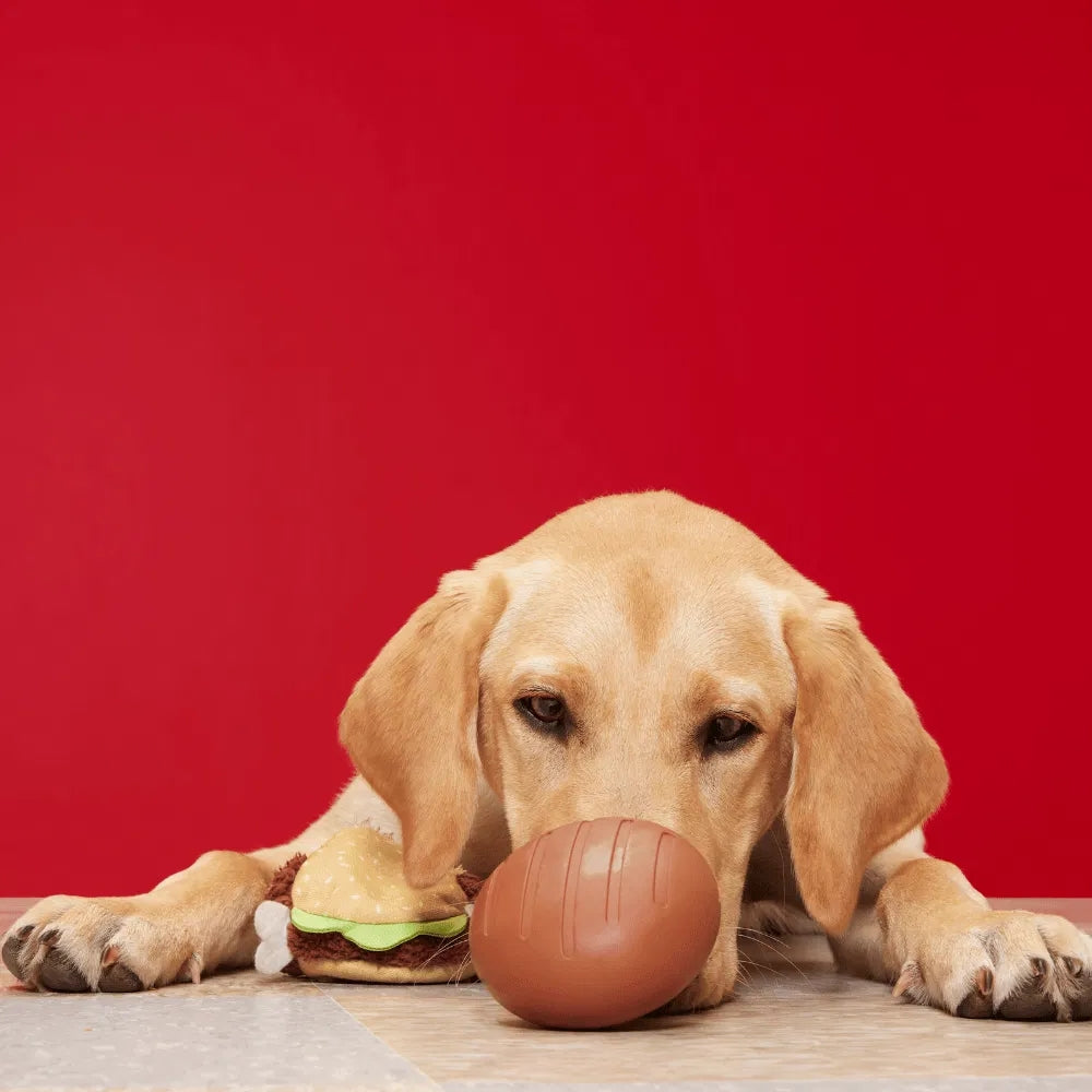 BARK Turkey Barker Super Chewer Dog Toy