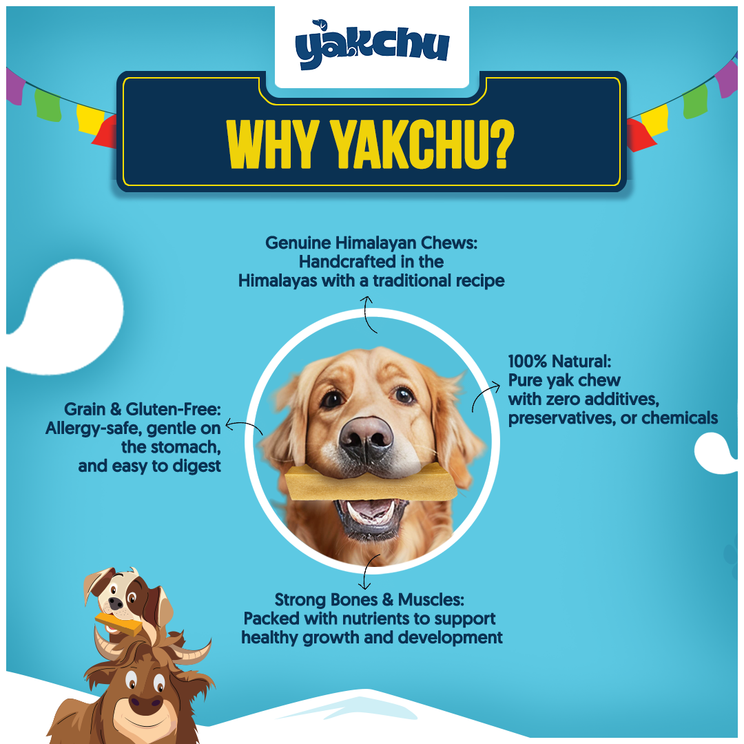 Yakchoo Himalayan Yak Cheese Dog Chews – Large 130g - 2 or 3 Pack Options