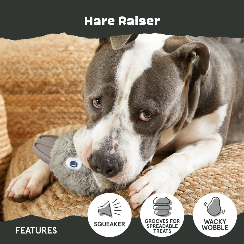 BARK Hare Raiser Super Chewer Dog Toy