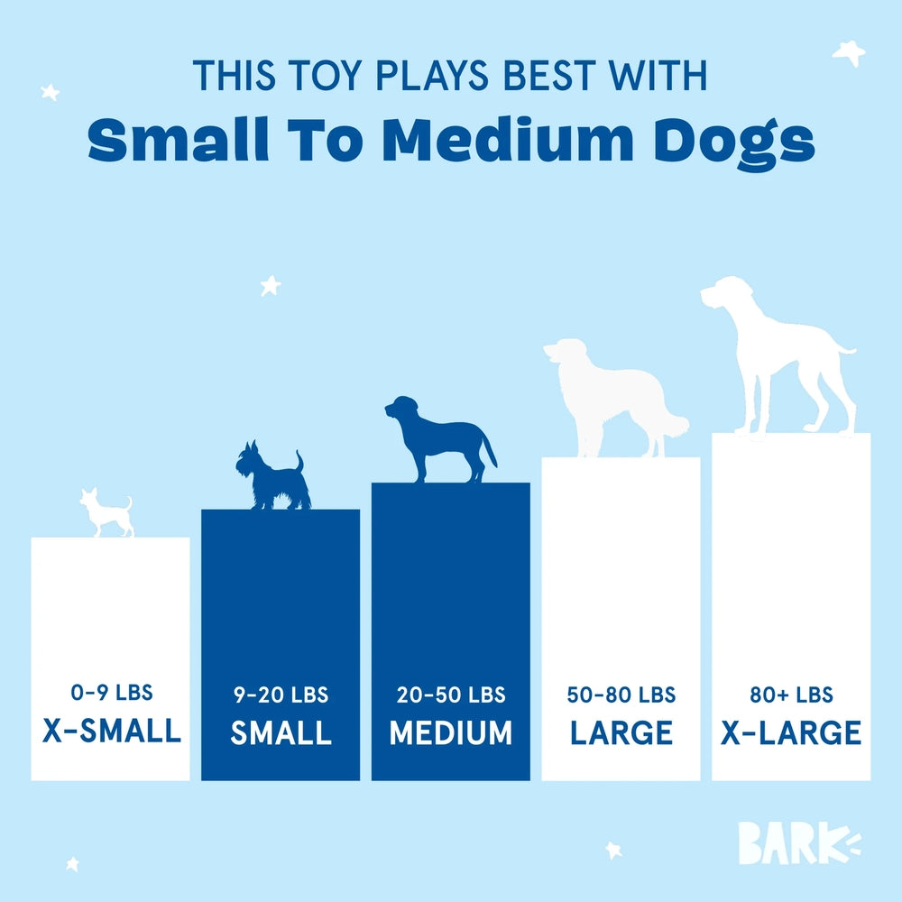 BARK Rowdy Ruckus Rucksack Grrreat Outdoors Dog Toy