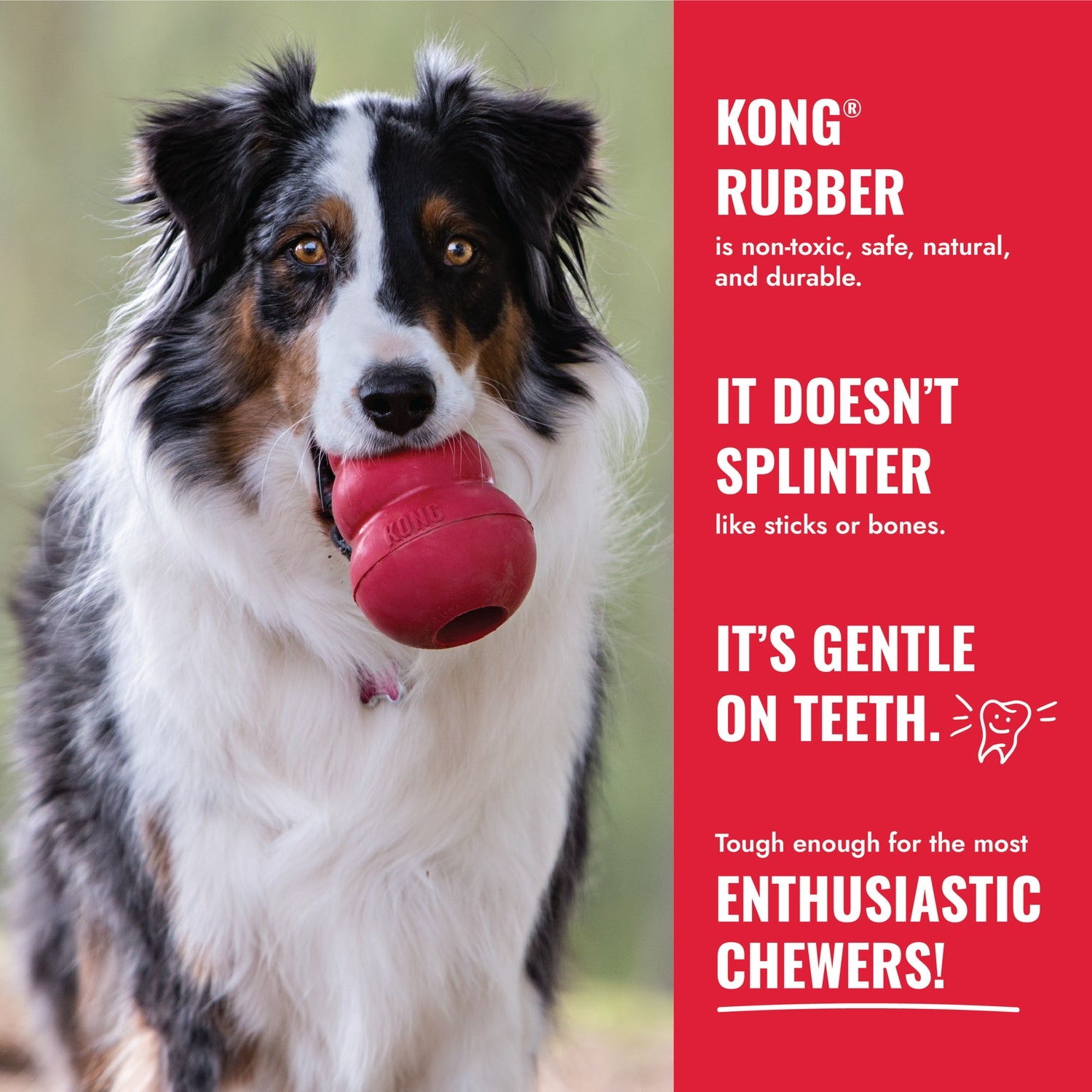 KONG Donut