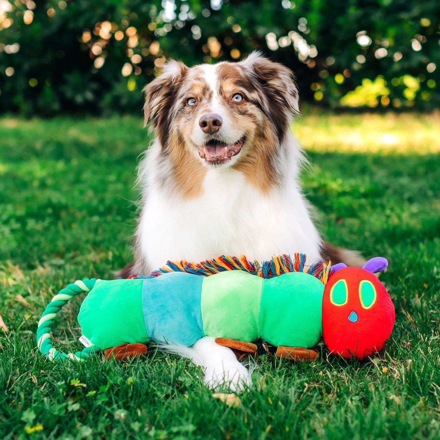 Eric Carle™ The Very Hungry Caterpillar Rope Tugs Dog Toys 3 Sizes