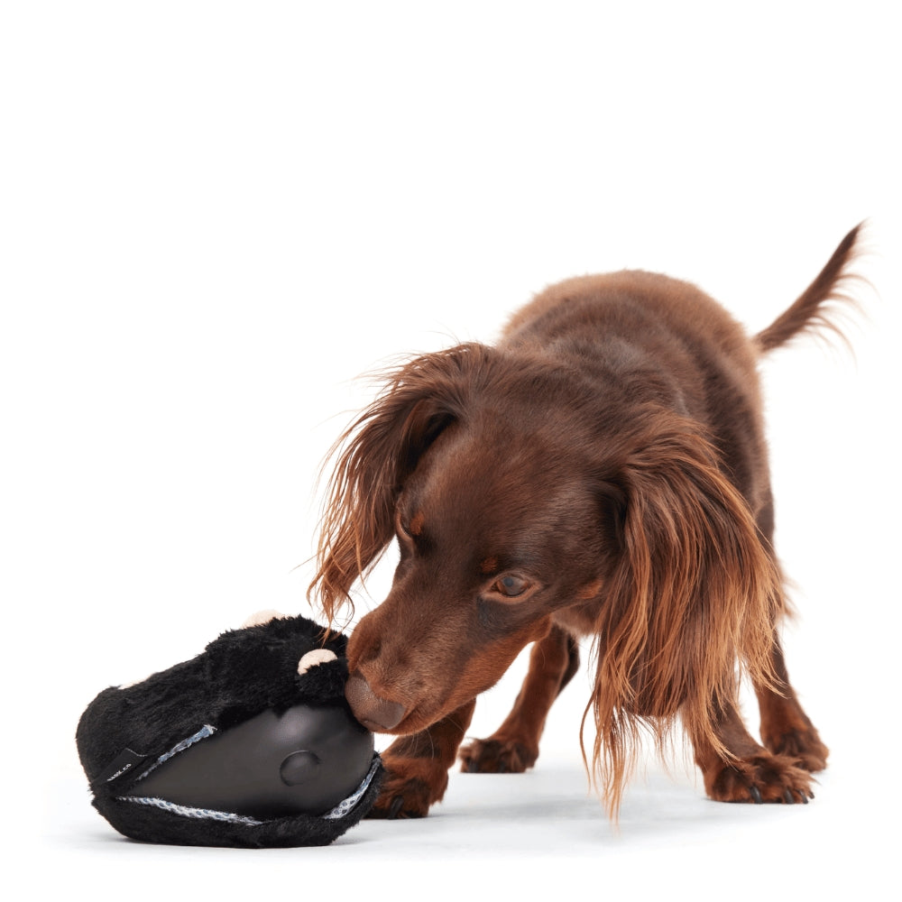 BARK Black Bear Bones Super Chewer Dog Toy