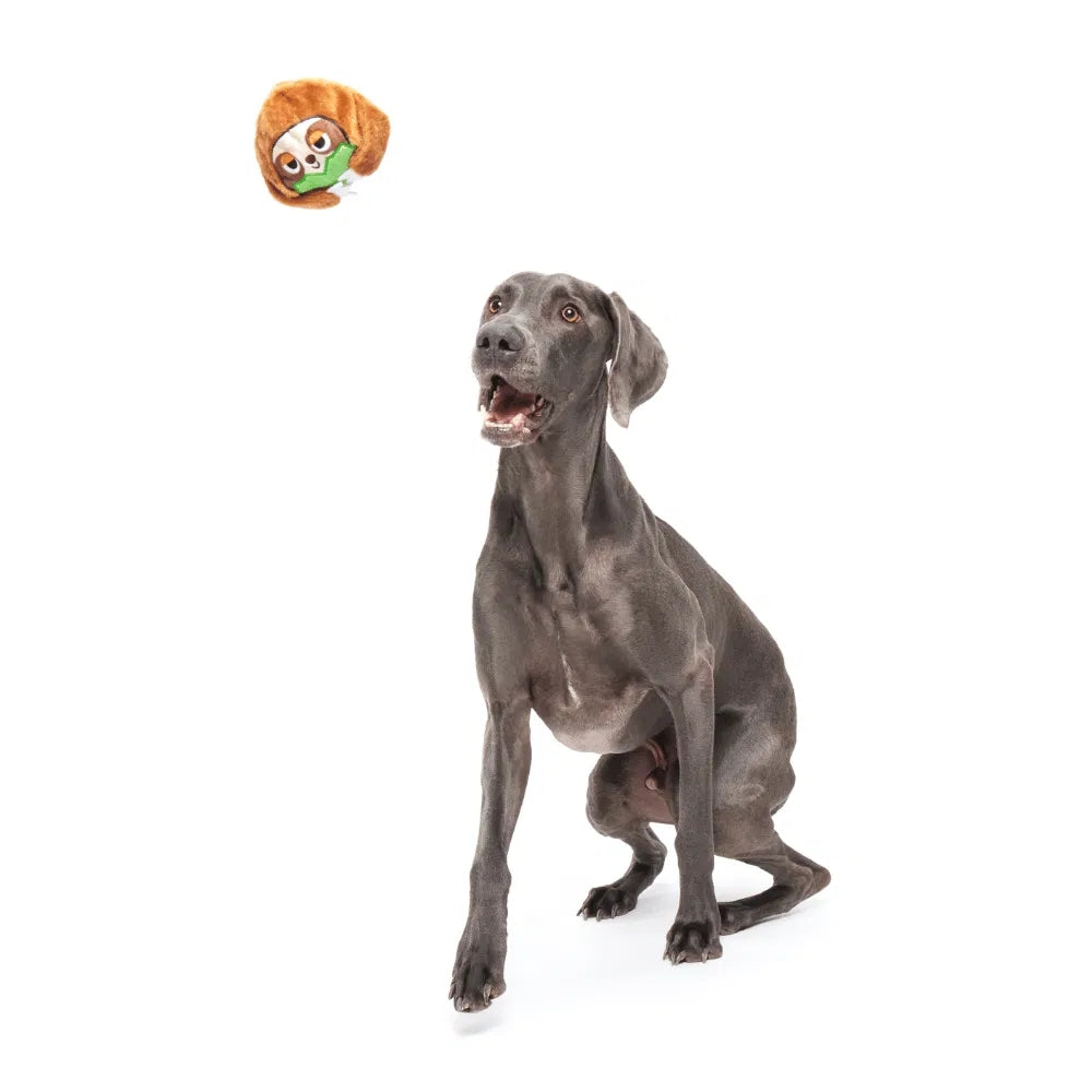 BARK Sonny The Sloth Super Chewer Dog Toy