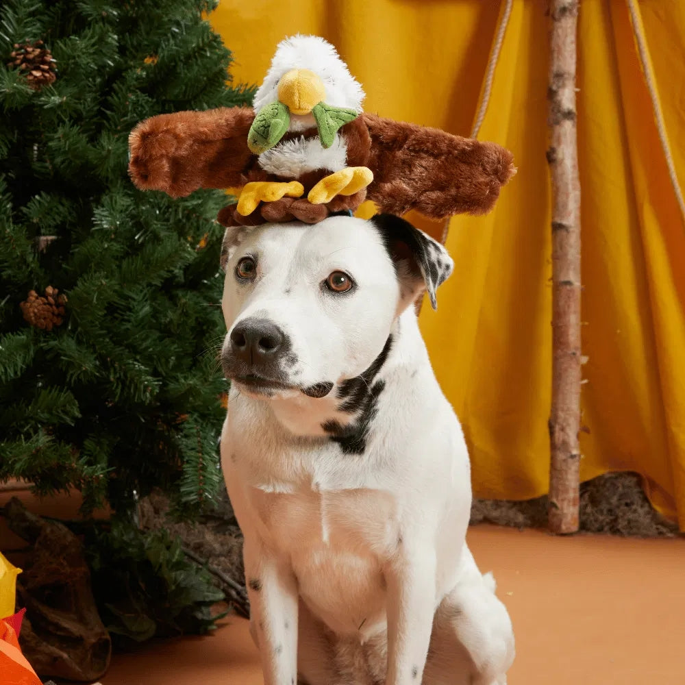 BARK Majestic Marty Grrreat Outdoors Dog Toy