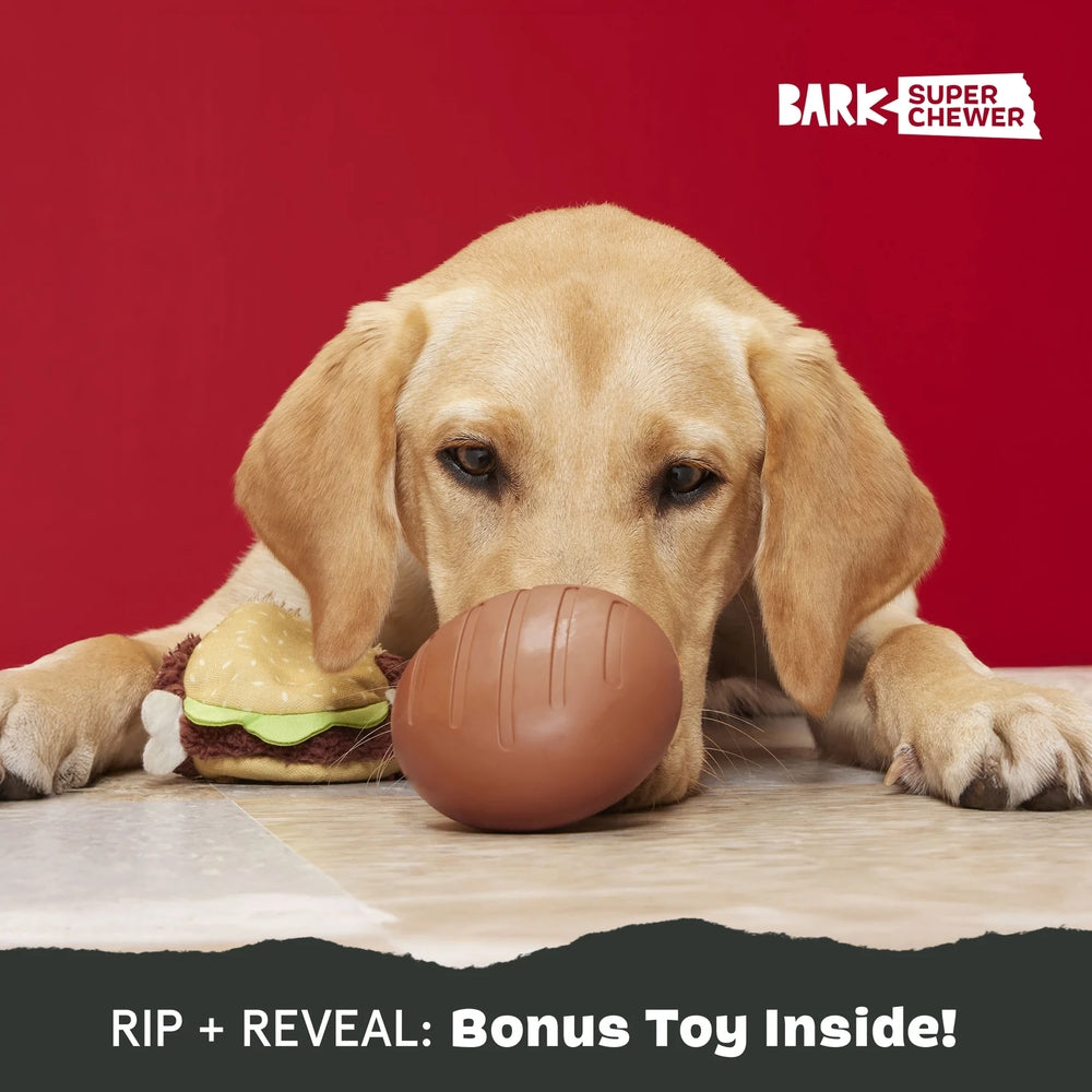 BARK Turkey Barker Super Chewer Dog Toy