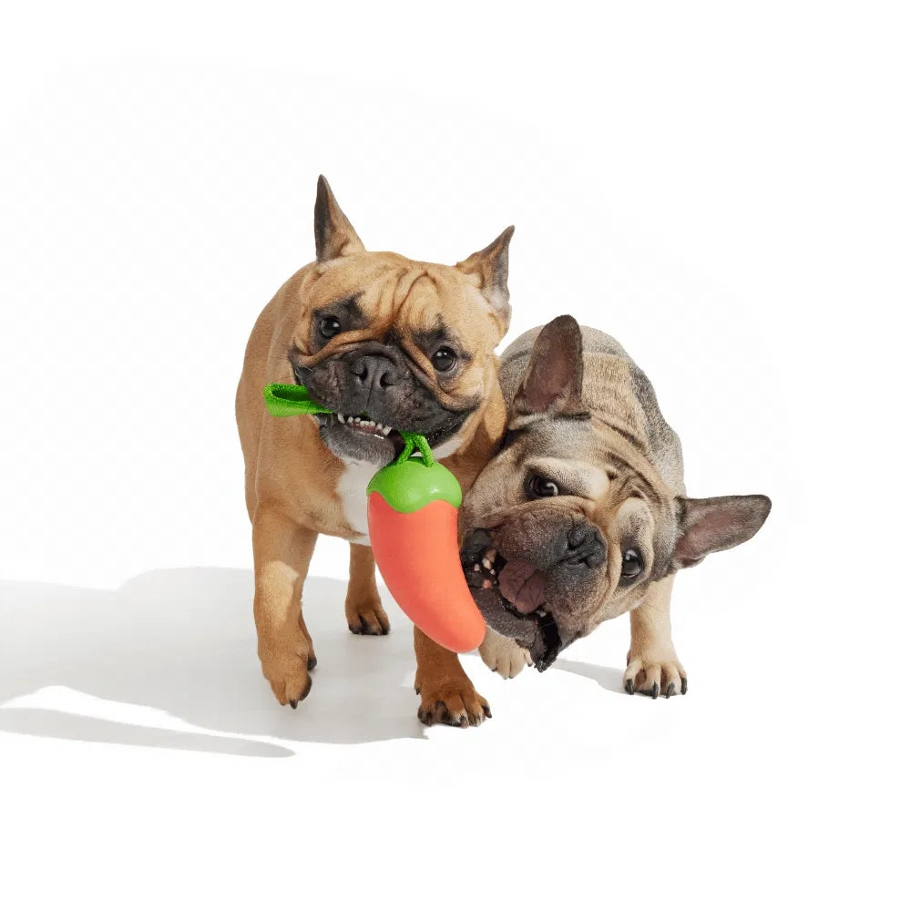 BARK Habanero Pupper Super Chewer Dog Toy
