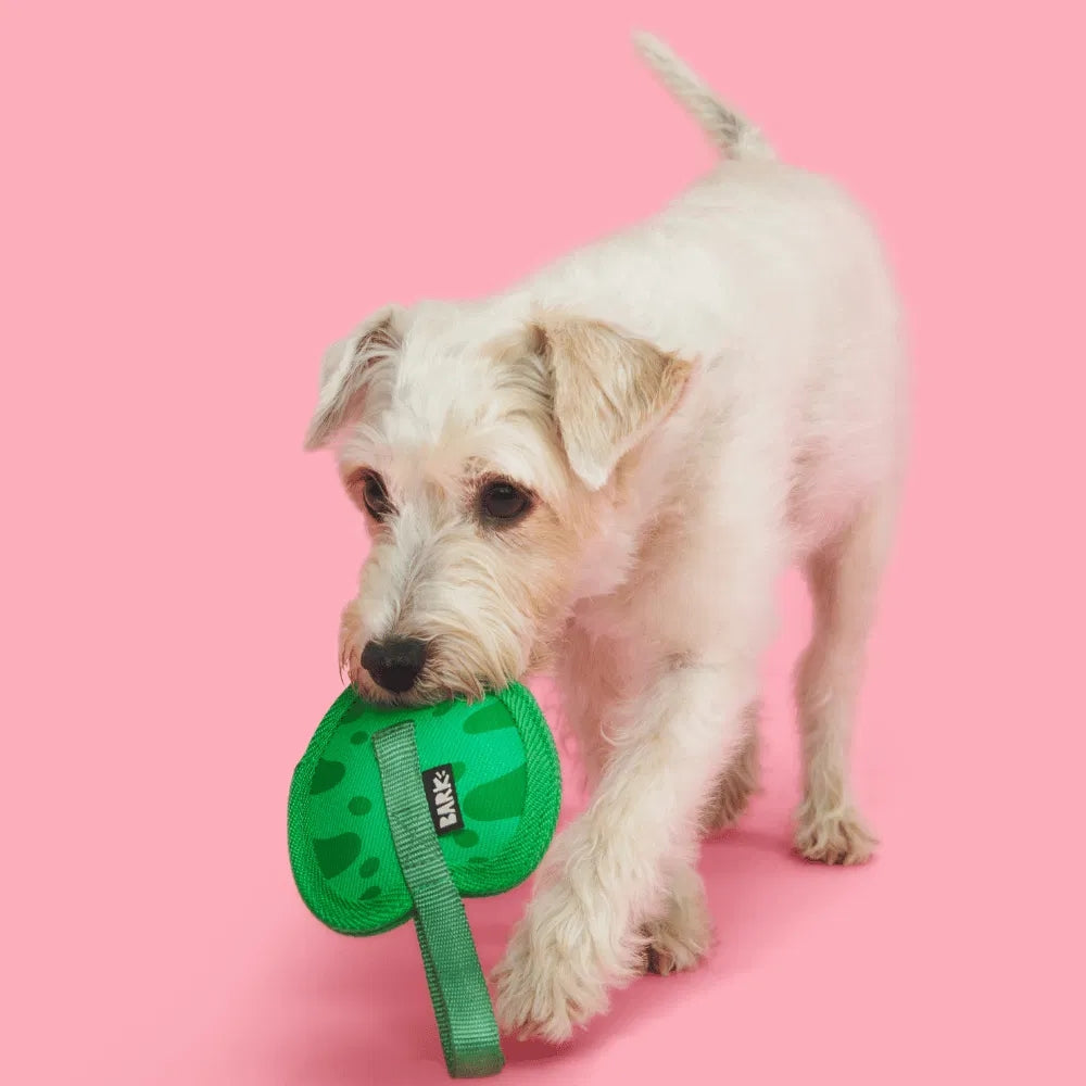 BARK Leaf Thrower Backyard Garden Super Chewer Dog Toy